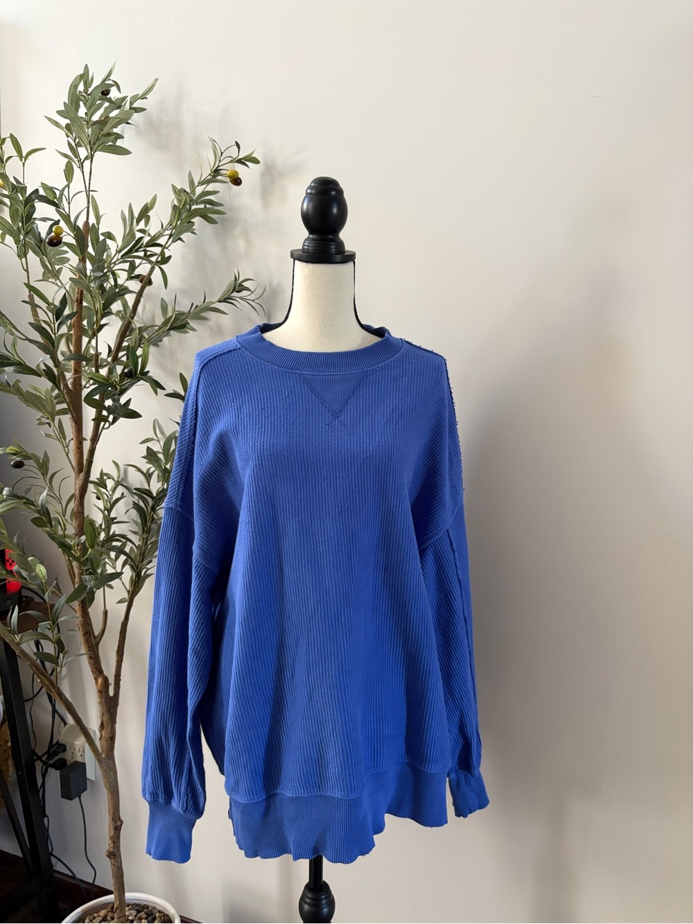 Aerie Pullover Sweatshirt